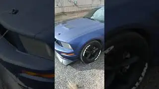 2008 GT Mustang midnight blue color changing wrap