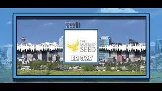 Episode 327 Community Spotlight: The Mustard Seed