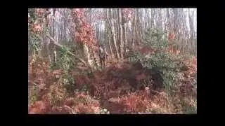 Chasse entre copains d'enfance avec Berry Sologne
