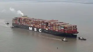 MSC China 26th Nov 2023