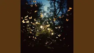 Dark Matter Choir