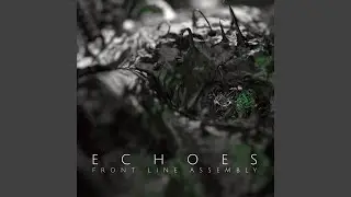Echogenetic (Youth Code)