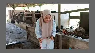 SOP PENGGUNAAN DAN PERAWATAN MESIN TIMBANGAN DIGITAL SAPI