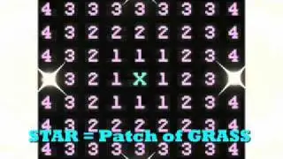 Pokemon Chaining Tutorial/Guide