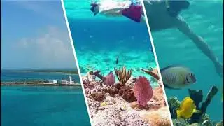 Nassau Elite Luxury Transportation