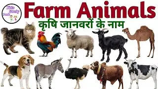 Animals Name | Domestic Animals & Pet Animals Name | Farm Animals | बच्चों के लिए जानवरों के नाम