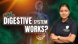 Class 10 Science | How Digestive System Works | Human Digestive System Explained for CBSE #class10th