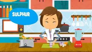 Motion Graphic Video Malaysia | Kids Animated Education Video - Onion