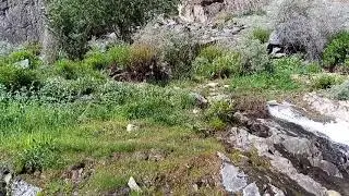location of phander#beauty of nature