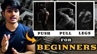 Push Pull Legs For Beginners