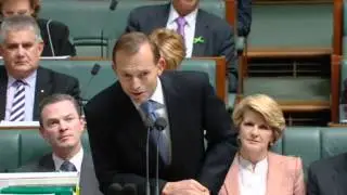 Privileges committee to investigate Thomson's claims