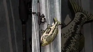 Lew&rsquo;s TP2 spinning combo #spinningrod #lewsfishing #fishingrodreview #bassfishing #fish #shorts