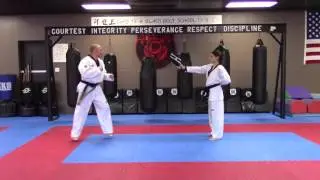 Jump Spin Hook Kick