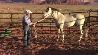 Wild Mustang Training Silver Day 2