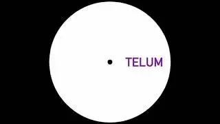 Unknown Artist - B1 • Untitled B1 [TELUM 005]