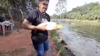 ESSE LUGAR SURPREENDEU SAIU ATE DOURADO E MUITO TAMBAQUI 