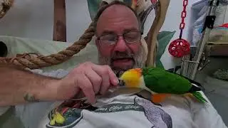 Снова приветствуем всех!!!