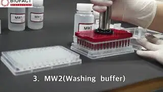 PCR purification /BioFACT / PCR cleanup kit / Magnetic bead type / 96well pipettor type