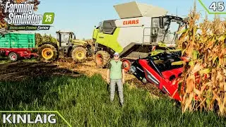 Harvesting corn🌽 & soybeans with CLAAS & mowing grass | KINLAIG | Farming Simulator 25 | Ep.45