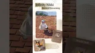 ⭐ Infinity Nikki ⭐ Animal Grooming || Bowtie Cat #infinitynikki