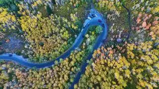 Alpine Loop Fall