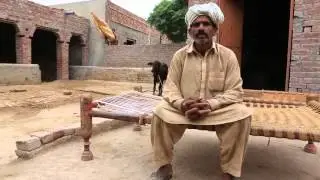 Salam: More than a Greeting for Pakistan's Smallholders
