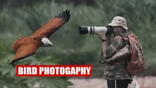 Wildlife Photography Indonesia
