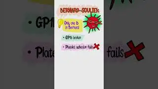 USMLE Step 1 High-Yield | Platelet Disorders Mnemonics in 40s