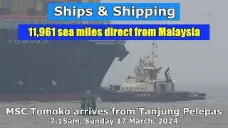 11,961 Sea Miles from Malaysia; MSC Tomoko arrives at Felixstowe, 17 March 2024