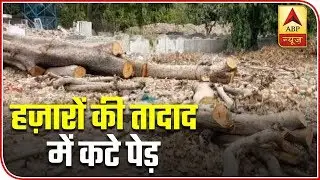 Thousands Of Trees Axed In One Day | Aarey Protest | ABP News