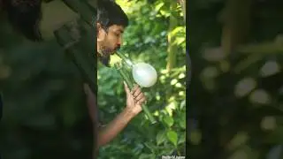 Fun Bamboo  Toy With white color balloon craft #balloon #funny #craft #shorts #diyforkids #viral