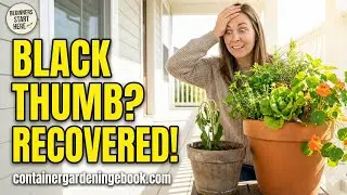 Container Gardening for Beginners &mdash; The Ultimate Black Thumb Recovery Guide 🌿🪴