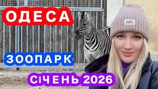 ОДЕСА❗️ЗООПАРК❗️ЦЕ ТРЕБА БАЧИТИ❗️Преображенський парк❗️СІЧЕНЬ 2026❗️