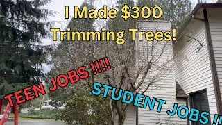 $300 for THIS?!  Best Side Hustle for Teens?!