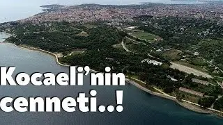 Darica Millet Bahçesi | Hobbit Evleri | Şehit Er Gökhan Hüseyinoğlu Sahil Parkı