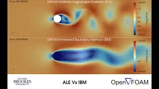 Arbitrary Lagrangian-Eulerian (ALE) method and the Immersed Boundary Method (IBM)-OpenFOam