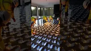 Butterfly & Fairy Lights Epoxy Floor | Magical AI Transformation | Dream Lux Build | #ytshorts