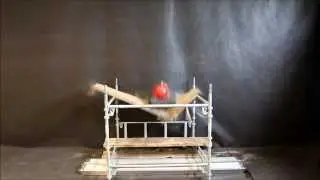 Alu & Wooden Scaffold Planks - Drop Test EN12810-2:2003