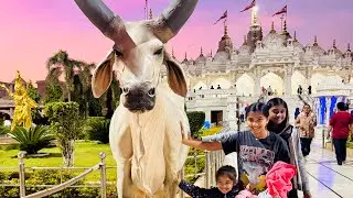 India DIARIES, adventures in BHUJ! Episode 2 #youtubeindia #familyvlog #familytrip
