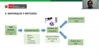 Protocolo de diagnóstico rápido y tipificación molecular del virus de la Leucosis Bovina