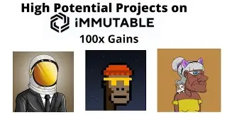 High Potential Immutable X NFT Projects