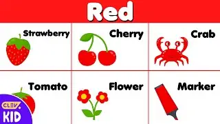 ClevKid | Learn Colors with Flashcards Easy Color Names for Kids, Toddlers & Preschool