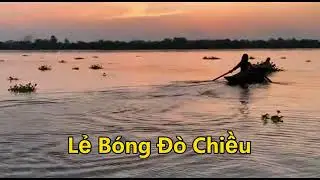 Lẻ Bóng Đò Chiều