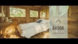 Nosotros ponemos el bosque...