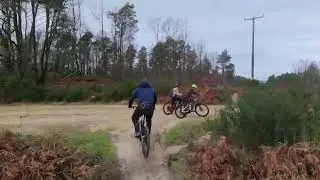 Surrey Hills Telegraph row   HD 1080p