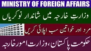 Ministry of Foreign Affairs Jobs 2020