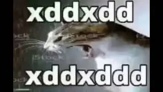 GatopeXDD