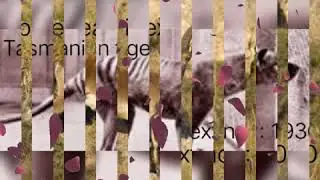 Extinct animals
