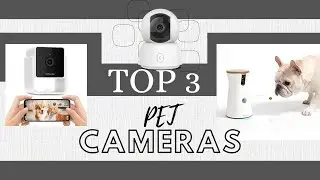 Top 3 Best Selling Pet Cams Compared