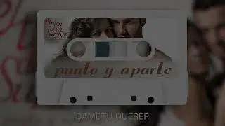 El Tren de los Sueños - Dame tu querer (Audio Oficial)